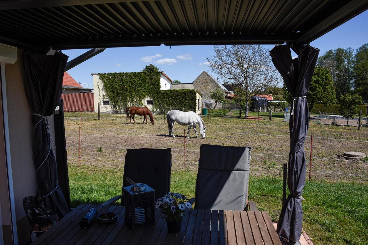 Barrierefreie Ferienwohnung Trüben  Bornum Exterior foto